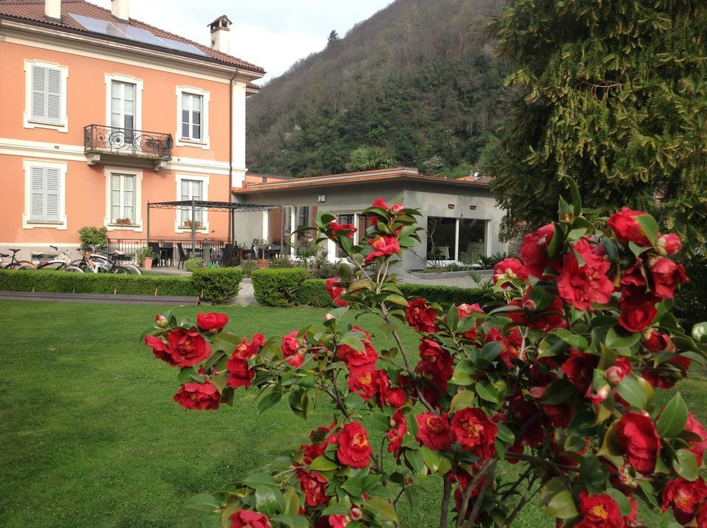 B&B Villa Dei Pini Каннобио Экстерьер фото