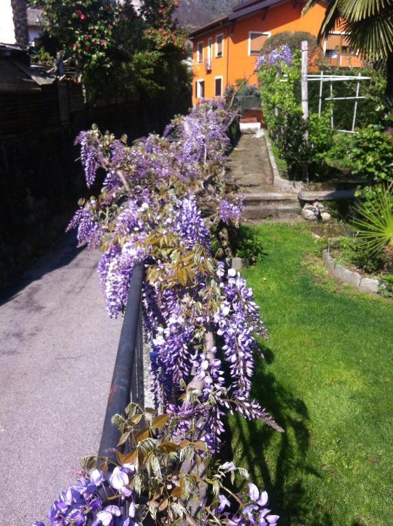 B&B Villa Dei Pini Каннобио Экстерьер фото