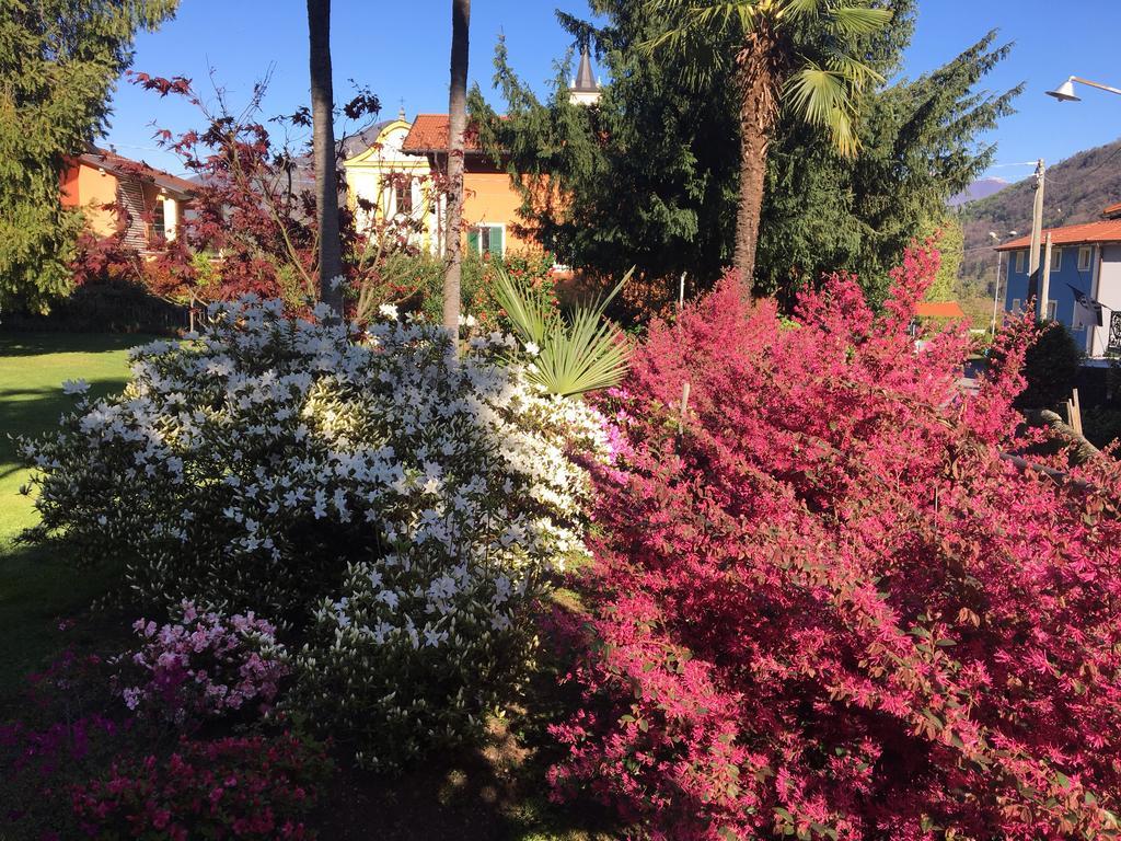 B&B Villa Dei Pini Каннобио Экстерьер фото