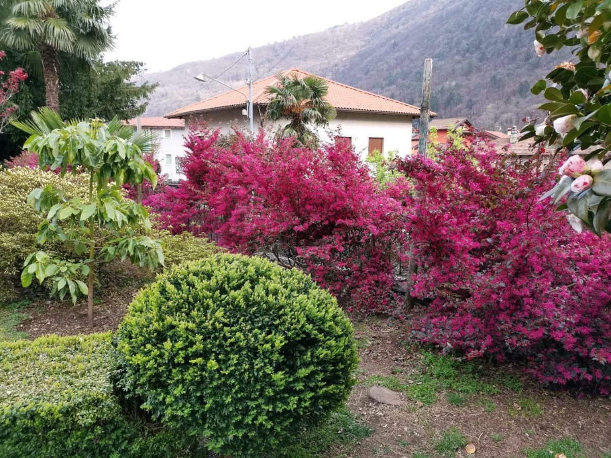 B&B Villa Dei Pini Каннобио Экстерьер фото